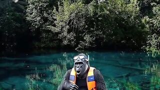 Discover the Crystal Clear Beauty of Paisu Pok Lake, Banggai – Central Sulawesi 🇮🇩 #shorts