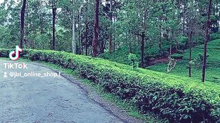The roads that lead to freedom and peace