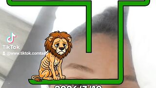 The hungry lion 🦁