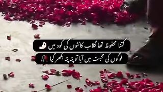 Quotes Status by Shaista Adil 24
