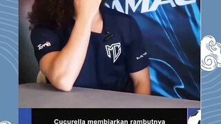 sportbook 7