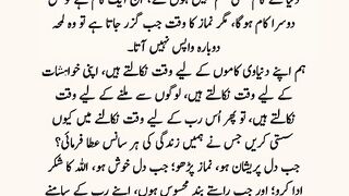 The Urdu World