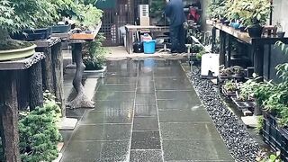 Rain comes and goes