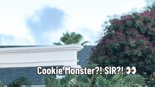 Dancing cookies monster