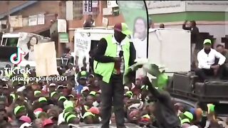 Chicken wears a cap in Kenya