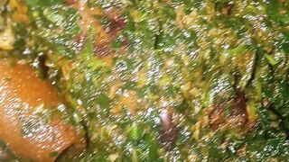 Check out this vegetable soup