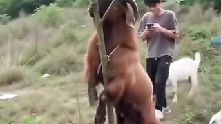 Too focused on the phone