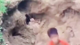 Funny videos??????? 3