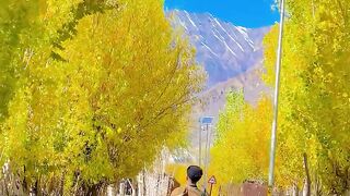 The beauty of Kashmir will dazzle your eyes.