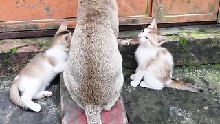Family Comes Together Every Morning