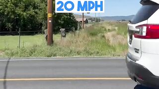 Shouting At Different Speeds