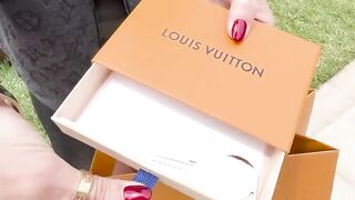 Louis Vuitton x Singer Collab