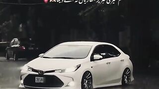 short video 29