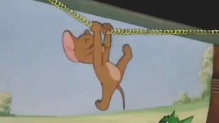 Tom & Jerry’s Craziest Cat Chaos 😂🐱 | Classic Cartoon Comedy