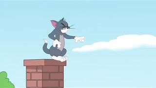 Tom Chases a Bird Across the Rooftops… 😂🐱 | Epic Cartoon Chase