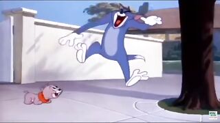 Tom Chases Jerry… But Jerry Has Another Plan 😂🐱🐭 | Funny Cartoon