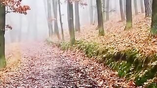 Inilah Amalan Yang Bisa Mengalahkan Kuatnya Gunung, Besi, Api, Air & angin