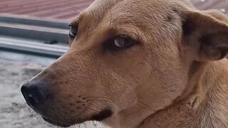 You can callme netanyahu 🤭