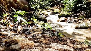 Tiny Patagonia Cottage Built from Scratch in Ultra Fast Timelapse | Satisfying ASMR Construction