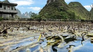 An Underwater World Filled With Thousands of Tiny Fish 🌊 | A Different World Beneath the Surface