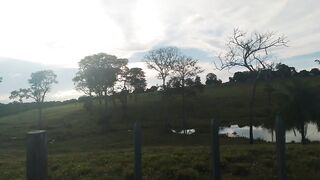 la naturaleza el medio más hermoso