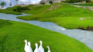 Natural view 20