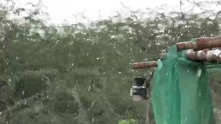 Karachi Weather updates