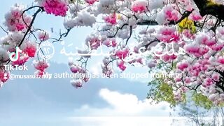 Beautiful Quran with nature