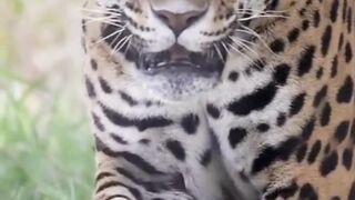 Beautiful nature 352