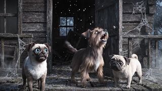 Doggg 2