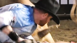 Angry bull 4