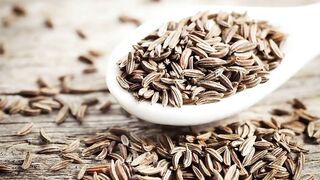 Jintan Putih. Cumin. 孜然. クミン. Тмин. Кумин. Kreuzkümmel. Comino. Cumino. Komijn
