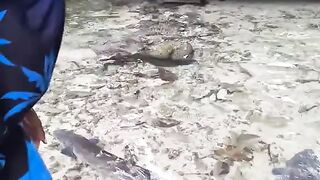 Have you seen it?