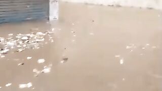 Viral short video 7