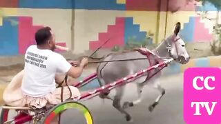 Best Scene video||Mrwhen Nice 2 Febspot video Mrwhen Nice 2 Febspot video of 2