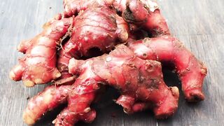 Jahe Merah. Red Ginger. 紅薑. 红姜. 赤生姜. Красный имбирь. Червоний імбир. Roter Ingwer. Jengibre rojo.