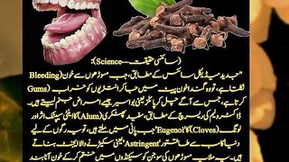 Doctor Urdu