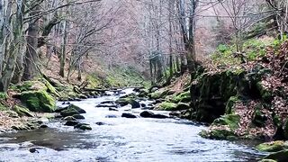 River 26