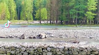 Beautiful Place 71