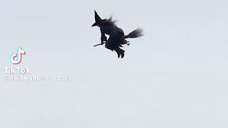Wow Magic video