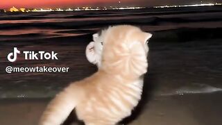 New video post 6