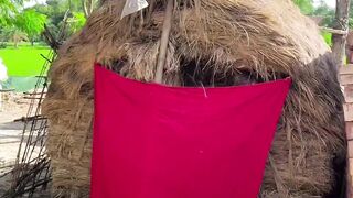 Funny video, comedy