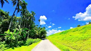 beautiful village of Bangladesh 🇧🇩