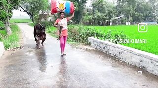 Funny moment comedy