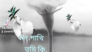One of Bangladesh
