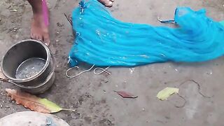 কাঁকড়া