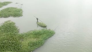 A Boat Carrying Water Hyacinths Across the River