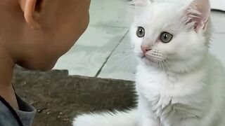 This white cat is keeping the little one company during bath time 😂🐱
