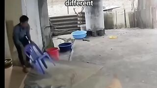 Why the innocent Dog??😱😱