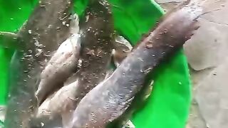 Survivor 2
